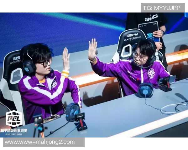 和平精英焦点BLG团队协作策略分析与实战经验分享